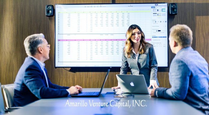 Venture Capital Company